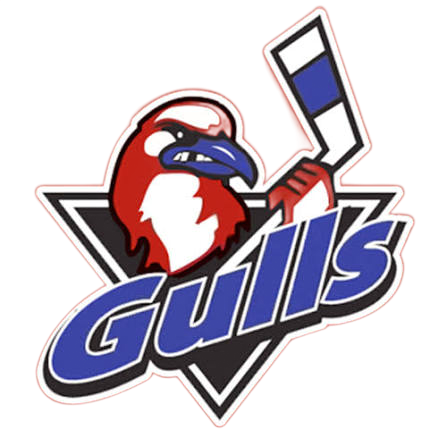 Team logo